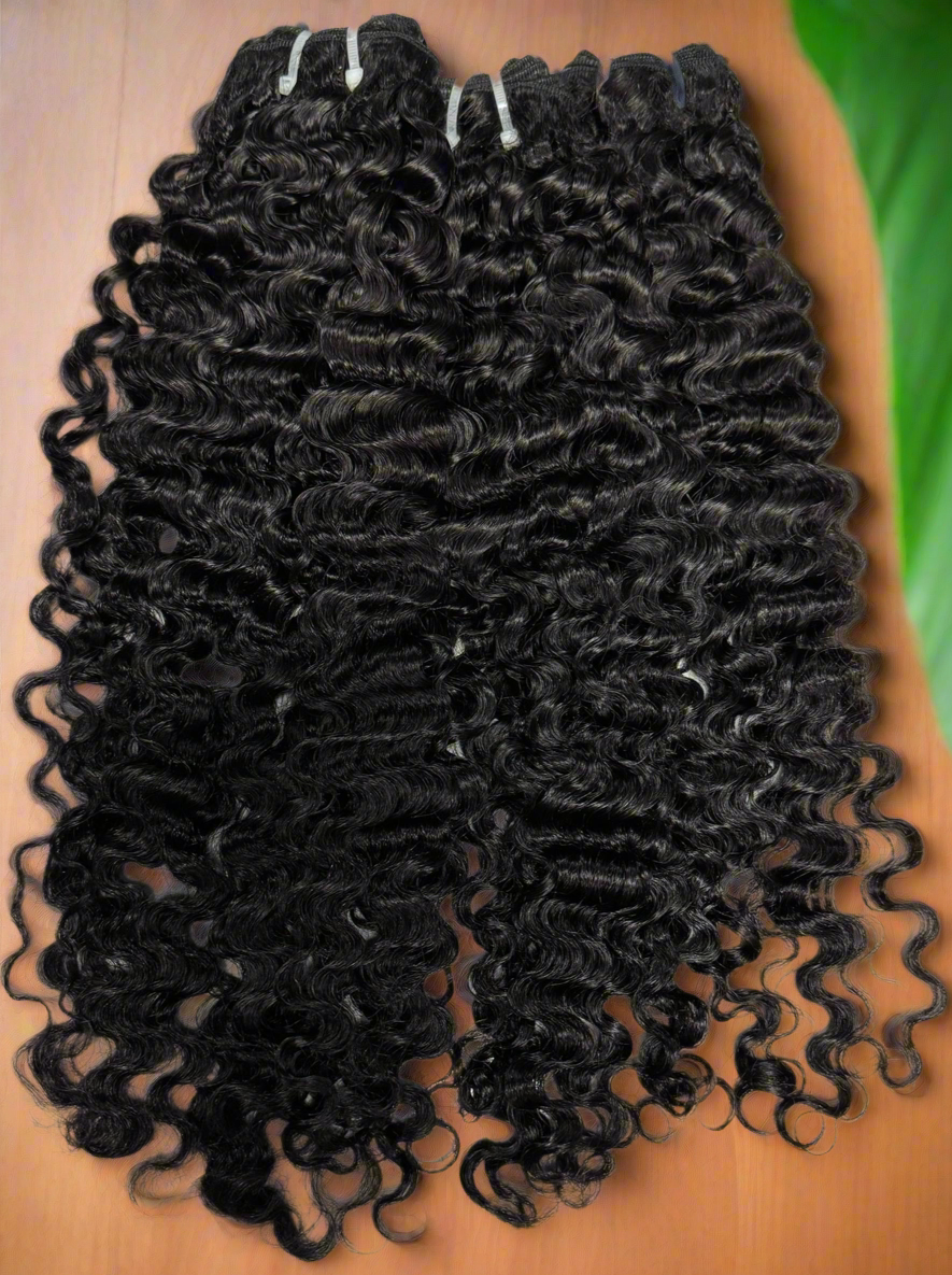 🌿 Burmese Curly